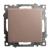 Выключатель 1-кл 10А С/У Шампань Катрин