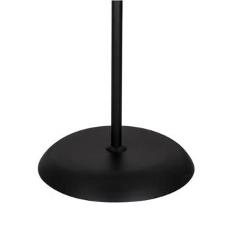 Торшер A9569PN-2BK Arte Lamp