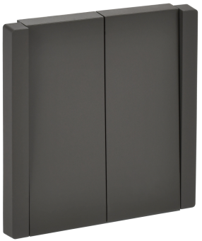 Переключатель 2-кл 10А C/У проходной Серый Forte&Piano