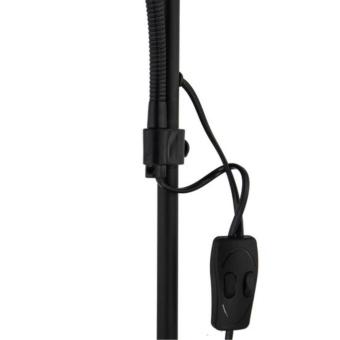 Торшер A9569PN-2BK Arte Lamp