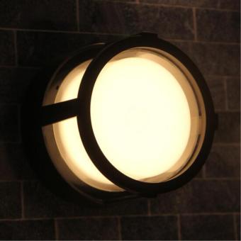 Потолочный светильник Ulysses A6206PF-1BK Arte Lamp