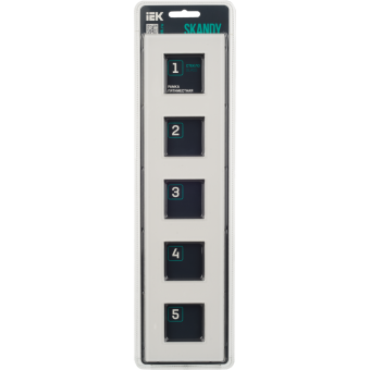 Рамка 5-я Стекло Черный Skandy