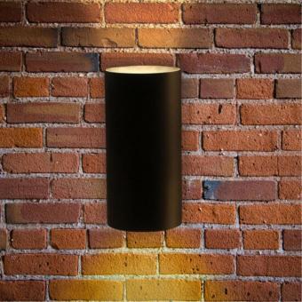 Фасадный светильник Alcyone A6109AL-2BK Arte Lamp