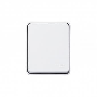 Выключатель 1-кл 10А О/У Белый AtlasDesign Profi54