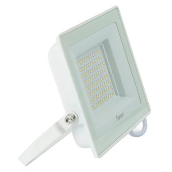 Прожектор сд LL-922  100W 6400K IP65 Feron